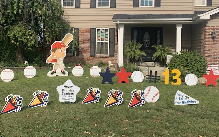 Baseball Player Display
